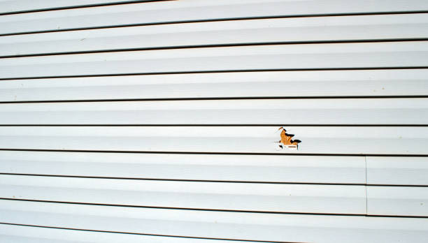 Best Storm Damage Siding Repair  in Hartselle, AL