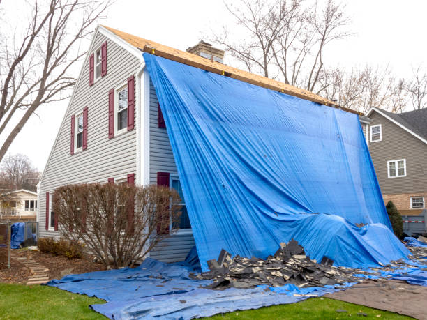 Best Fiber Cement Siding Installation  in Hartselle, AL